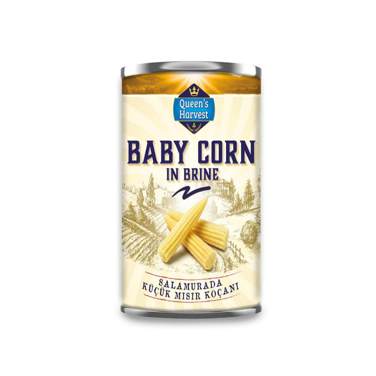 Bebek Mısır Koçanı 410 gr